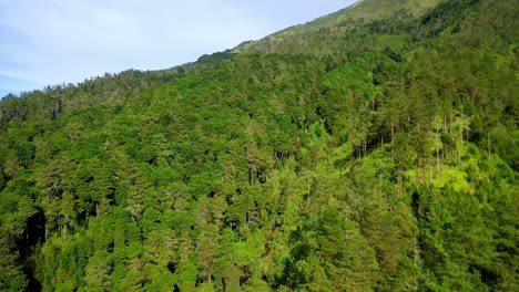 Reveal-drone-shot-of-rain-forest-on-the-slope-of-mountain