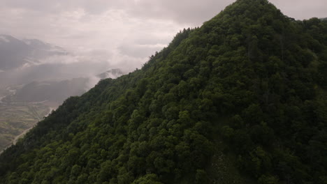 Wild-native-forest-on-a-hill-peak,-overlooking-small-Georgian-village,-Tiseli