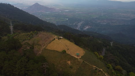 Agriculture-in-Vietnam-terraced-farm-on-top-of-hill,-aerial-panorama