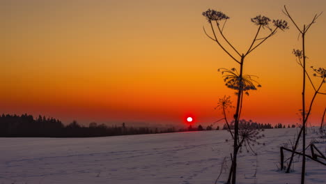 Aufgang-Des-Roten-Sonnenaufgangs-In-Der-Winterlandschaft