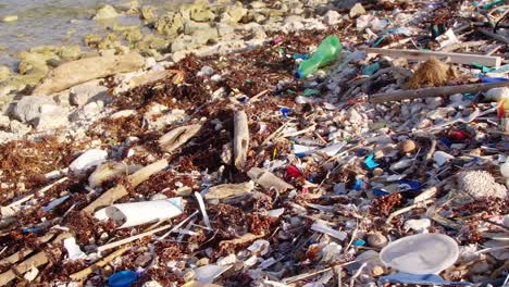 Wide-overview-pan-of-plastic-trash-debris-littered-on-rocky-beach-in-Caribbean