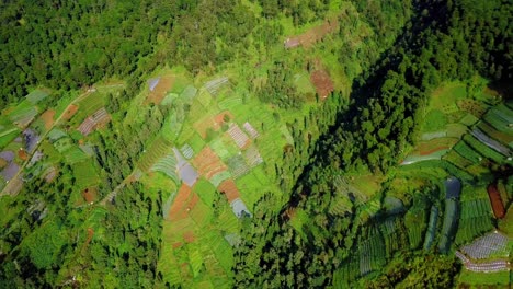 Backward-drone-footage-of-Tropical-landscape-on-the-slope-of-mountain
