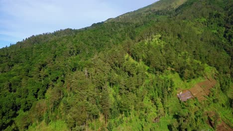 Reveal-drone-footage-slope-of-mountain-with-view-of-rain-forest