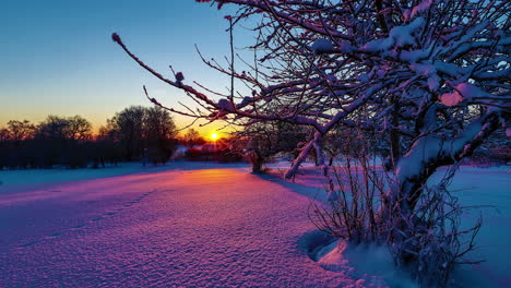 Colorful-winter-sunrise-with-the-sunshine-glowing-through-the-trees-and-reflecting-color-on-the-snow---ascending-sliding-time-lapse