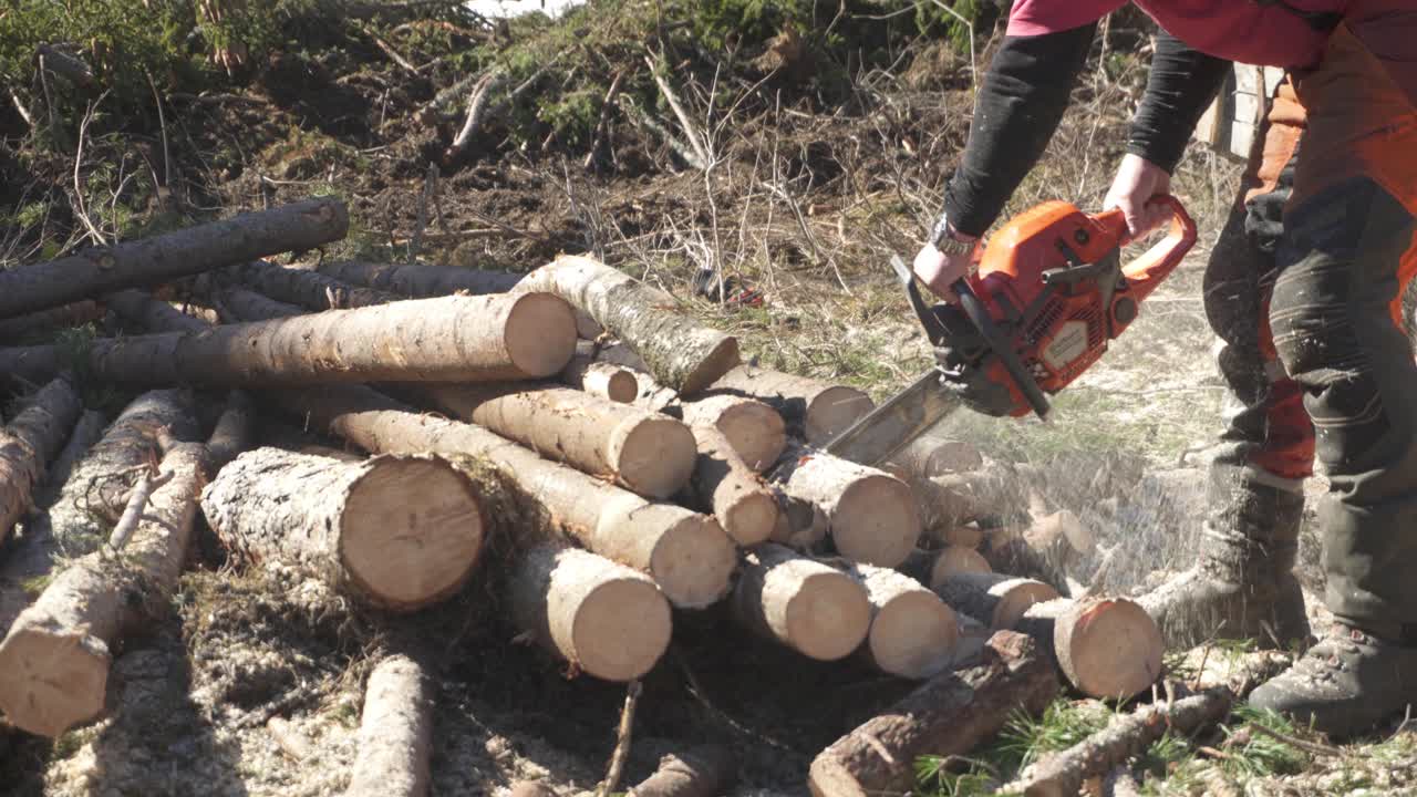 Bûcheron, il jardine la forêt à la tronçonneuse