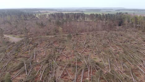 Drone-footage-of-a-damaged-forest-during-a-violent-storm