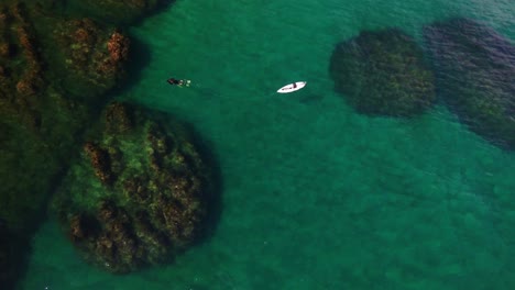 Ein-Einsamer-Schnorchler-Schwimmt-In-Wunderschönem-Azurblauem-Wasser-Und-Korallenriffen,-Costa-Rica,-Luftumlaufbahn-Von-Oben-Nach-Unten