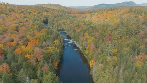 Spectacular-aerial-view-of-Big-Wilson-Stream-surrounded-by-autumn-colored-woodland