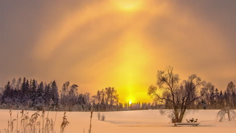 Lebendiger-Himmel-Von-Sonnenaufgang-Bis-Sonnenuntergang-Im-Winterlichen-Wald