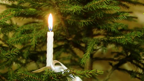 At-Christmas,-white-candles-are-lit-in-the-branches-of-the-Christmas-tree