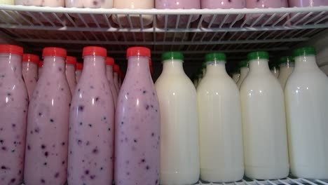 Yogurt-in-plastic-bottles-with-blueberries