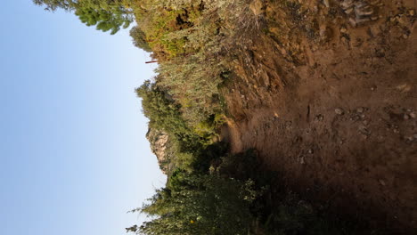 4k-Vertical-shot-of-hiking-trail-path-between-bushes-and-trees-at-the-mountain-La-Concha,-Marbella,-Spain