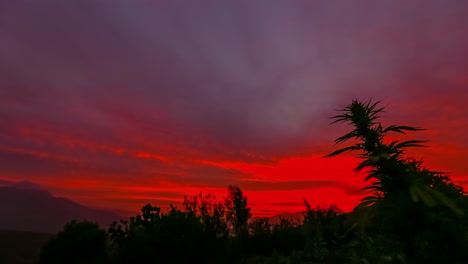 Erstaunlich-Brillanter-Sonnenuntergang-über-Den-Bäumen-In-Der-Abenddämmerung---Zeitraffer-Wolkenlandschaft