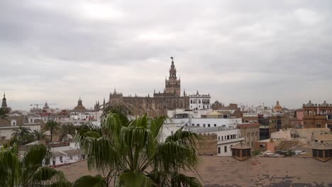 Panoramic-view-over-palm-tree-with-Seville-city-skyline-in-distance