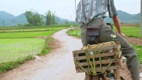 View-of-a-farmer-cycling-through-narrow-pathway-while-leaving-for-work-on-his-rice-field-in-Lang-Son-city,-Vietnam