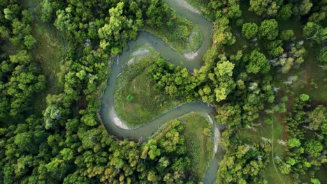 Winding-river-cuts-through-lush-green-forest-landscape-top-down-aerial-view-following-Rouge-River-Park-Canada