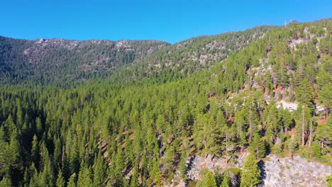 Aerial-Drone-Descending-Through-Thick-Jeffrey-Pine-Tree-Forest-and-Mountain-Range-During-Summer-with-Cars-Driving-on-Road-Through-Valley-in-the-Siera-Nevada-Mountains