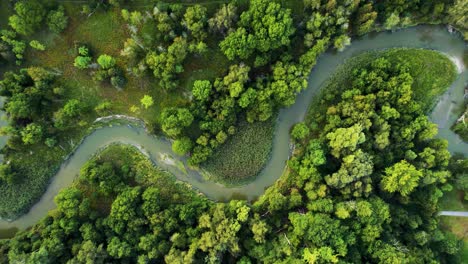 Overhead-view-of-scenic-landscape-with-curved-meandering-waterways-lush-green-forest-in-Rouge-Park