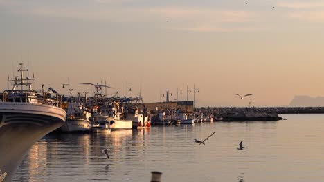 Beautiful-scenery-at-sunset-with-fishing-boats-in-harbor-and-seagulls-flying