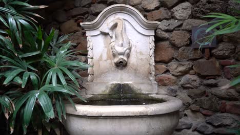 Slow-motion-dolly-in-towards-eerie-ancient-water-fountain-with-fish