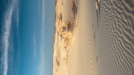 Vertical-4k-Time-Lapse,-Monahans-Sand-Hills-State-Park,-Texas-USA,-Desert-Landscape-Under-Blue-Sky