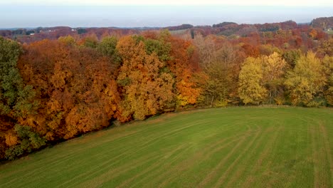 Beautiful-autumn-scenery-of-colorful-trees---aerial-reveal-of-forest-in-North-Rhine,-Germany