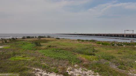 Wildlife-preservation-island-for-migrating-colonial-water-birds-on-Nueces-Bay-in-Texas