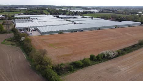 Comarket-Fruit-greenhouses-Essex-UK-aerial-drone-aerial-view