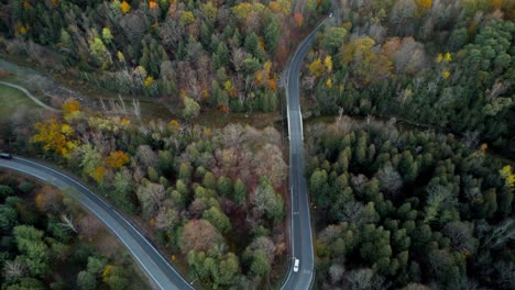Luftaufnahme-Der-Gekrümmten-Straße-Mit-Autos,-Die-Durch-Herbstwald-Orangenbäume-Und-Den-Fluss-Ökosystem-Rouge-Park-Fahren