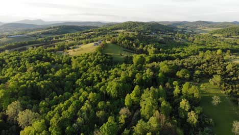 Aerial-footage-in-the-foothills-of-the-Blue-Ridge-Mountains-in-summer