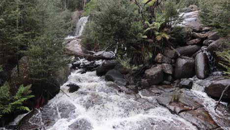 A-wide-shot-of-the-murrindindi-falls-in-Victoria-Australia