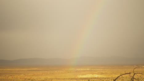 Beautiful-rainbow-over-a-golden-plain-of-scrubland-in-Colorado