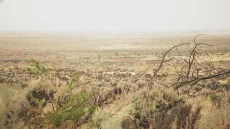 Sicht-Von-Einem-Jagdplatz-Mit-Dem-Ziel-über-Die-Wildnis-In-Colorado