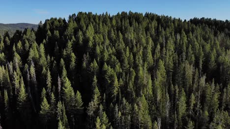 Aerial-footage-of-a-forest-covered-hillside