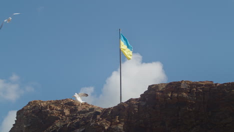 Peaceful-View-of-Seagulls-Flying-Down-to-Perch-on-Coastal-Rock-with-Ukrainian-Flag,-Cornwall---low-angle-slow-motion-shot