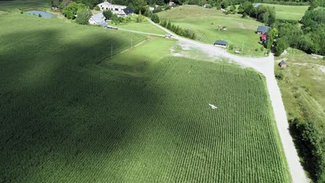 Aerial-View-Of-RC-Plane-Flying-Over-The-Green-Crops-In-The-Field