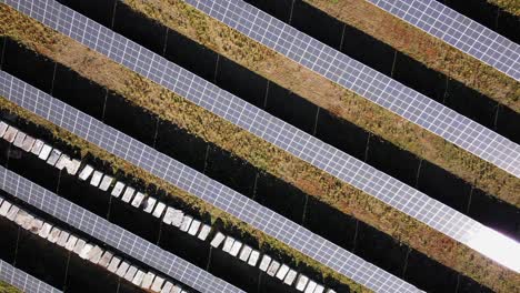 Solar-Panels-Farm,-Photovoltaic-Modules-For-Renewable-Energy---aerial-descending
