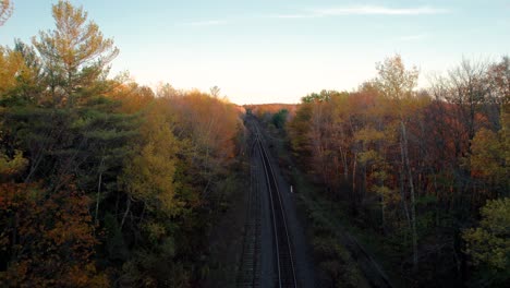 Railway-Corridor-tracks-travelling-through-beautiful-Autumn-Forest-Landscape-with-bright-yellow-trees