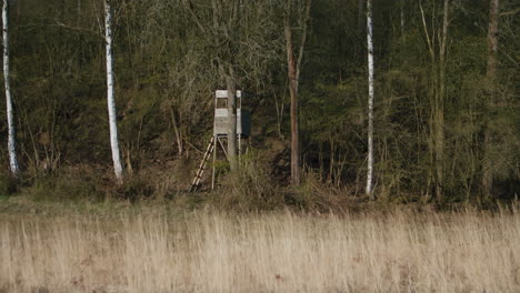 View-of-the-hunting-wooden-watchtower-on-the-edge-of-a-grassy-meadow