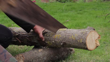 Slow-grinding-jungle-wood-with-a-handsaw