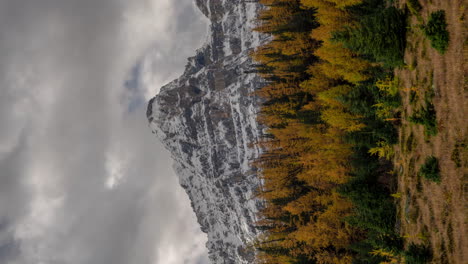 4k-Vertical-Time-Lapse-Dark-Clouds-Moving-Above-Forest-in-Larch-Valley-and-Snow-Capped-Peaks-of-Banff-National-Park,-Sentinel-Pass,-Canada