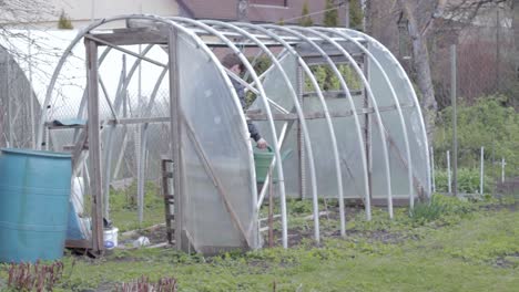 Watering-irrigating-a-diy-greenhouse-at-backyard-home