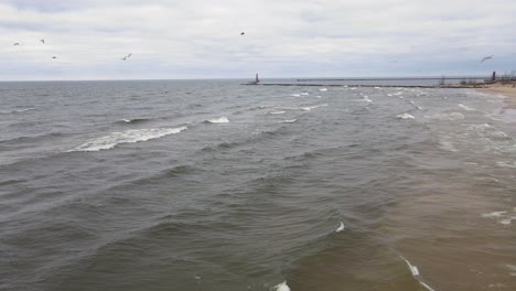 Gulls-rushing-near-the-pier-in-Lake-Michigan