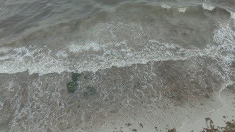 Sargassum-algae-on-the-beach-of-Playa-del-Carmen-Quintana-Roo-Mexico-20