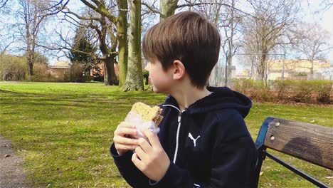 Caucasian-Boy-Eating-A-Sandwich-Outdoors-And-Drinking-An-Energy-Drink