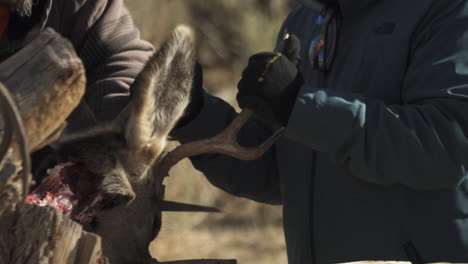 Hunters-Cutting-Deer's-Head-Off-After-Skinning-The-Animal
