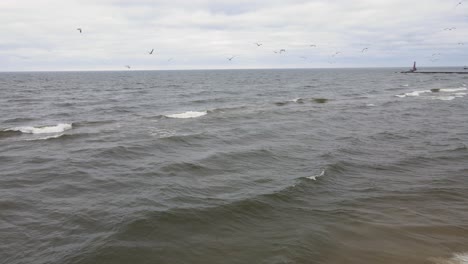 Seagulls-flying-at-Pere-Marquette-beach-in-Muskegon,-MI