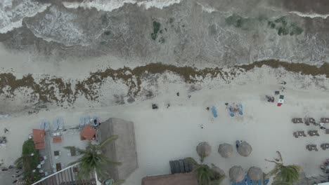 Sargassum-algae-on-the-beach-of-Playa-del-Carmen-Quintana-Roo-Mexico-9