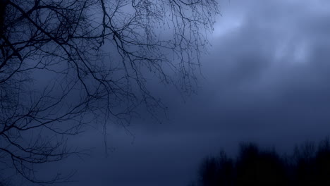 Frightening-night-storm-with-branches-shaken-by-the-wind-in-the-rural-landscape