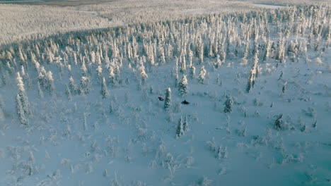 Gente-Montando-Motos-De-Nieve-A-Través-De-Bosques-Cubiertos-De-Nieve-En-Finlandia---Toma-Aérea-De-Drones
